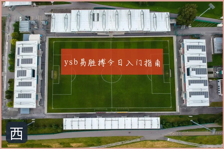 ysb易胜搏今日入门指南